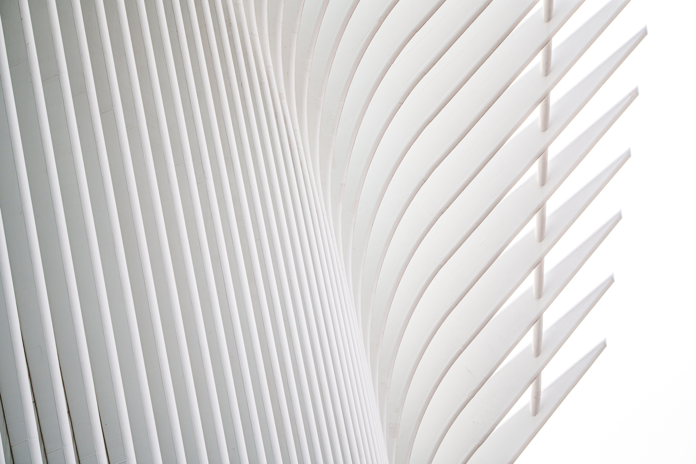 Oculus Weiße Rippen Holger Martens