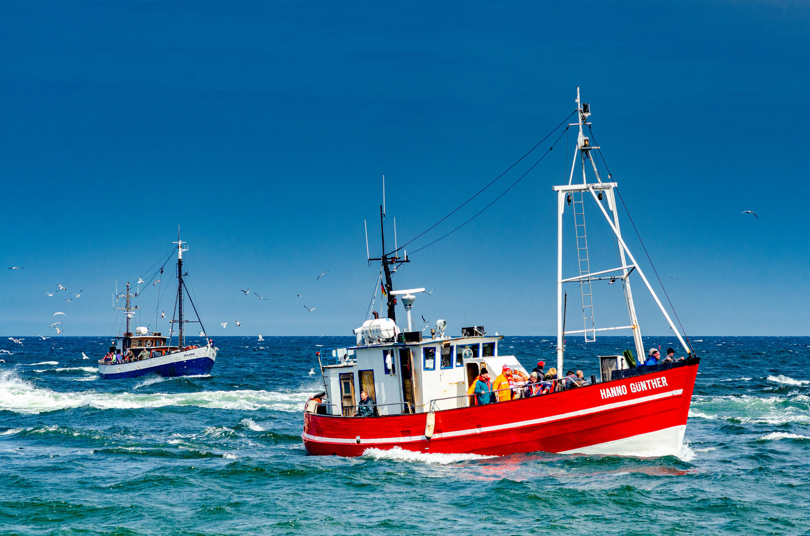 Fischerboot Hanno Günther Möwen Ostsee — Holger Martens