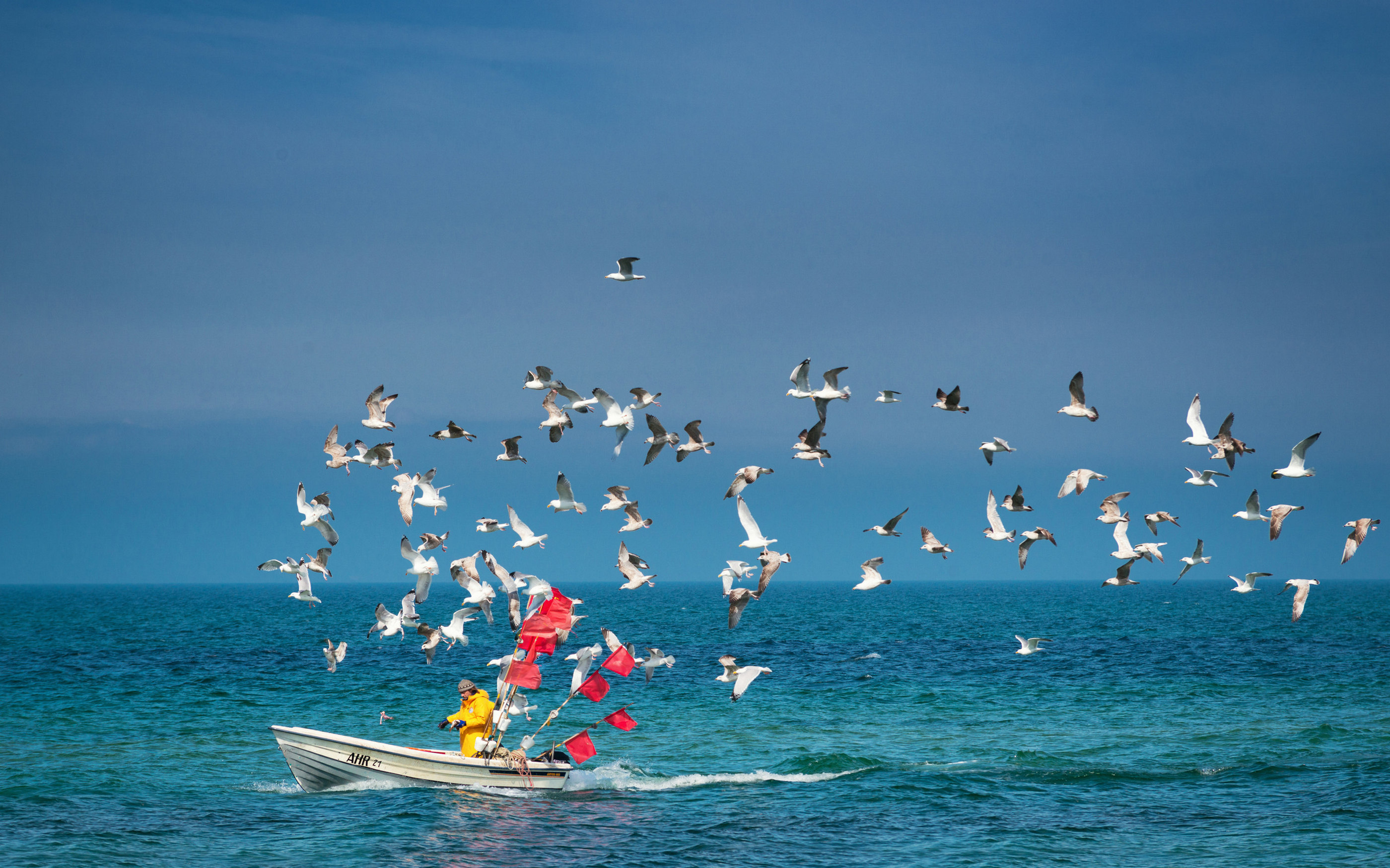 Fischerboot Möwenschwarm maritim — Holger Martens