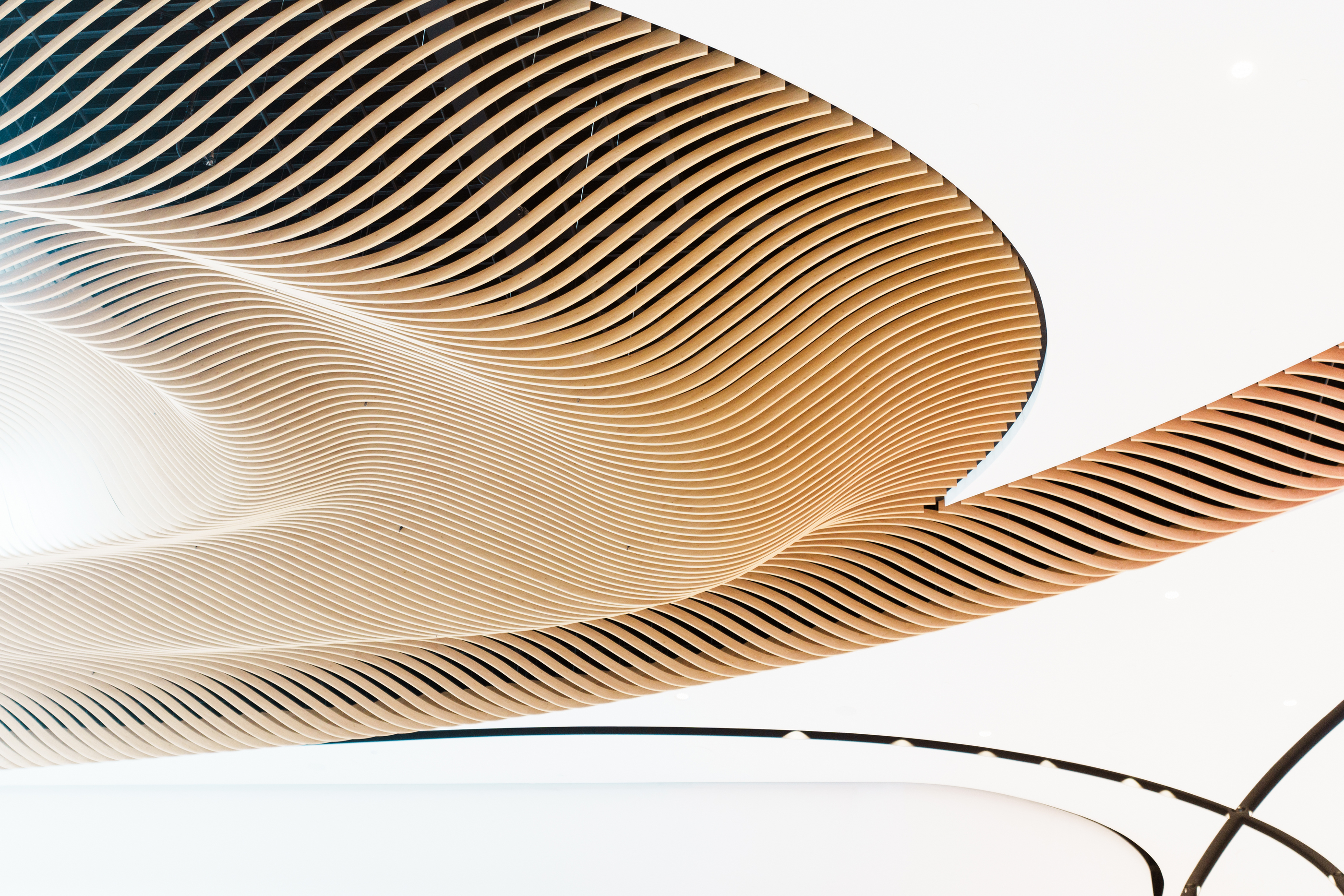 Holzlamellen Geschwungene Decke Holger Martens