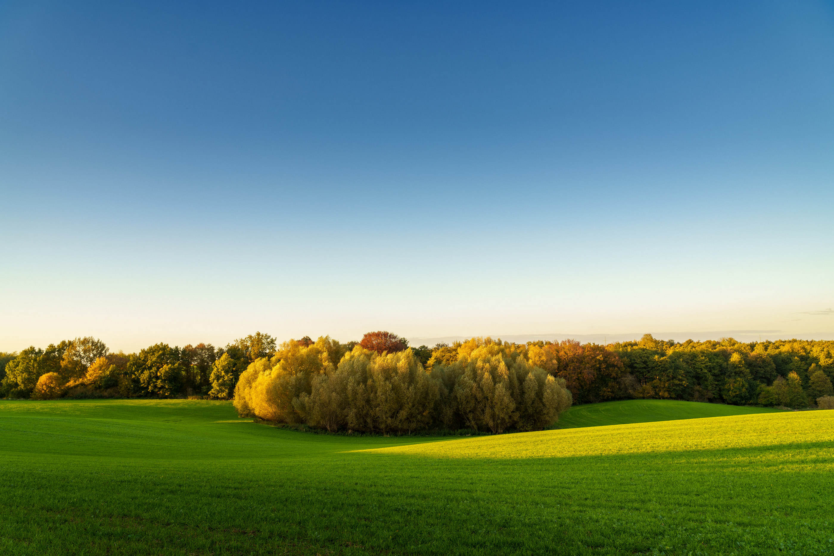 Herbstlandschaft Goldene Stunde Hügel Norddeutschland — Holger Martens